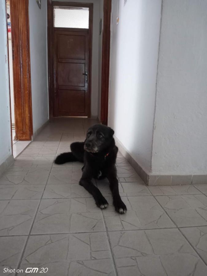 Hzd Apartments Hostel Fethiye Ngoại thất bức ảnh